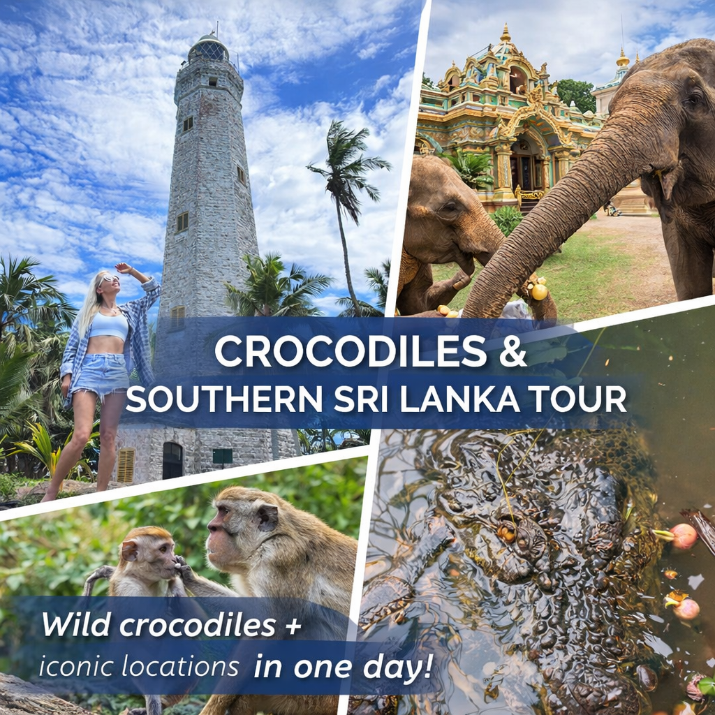 Crocodile Tour Sri Lanka | River Safari, Dondra Lighthouse & Elephant Temple