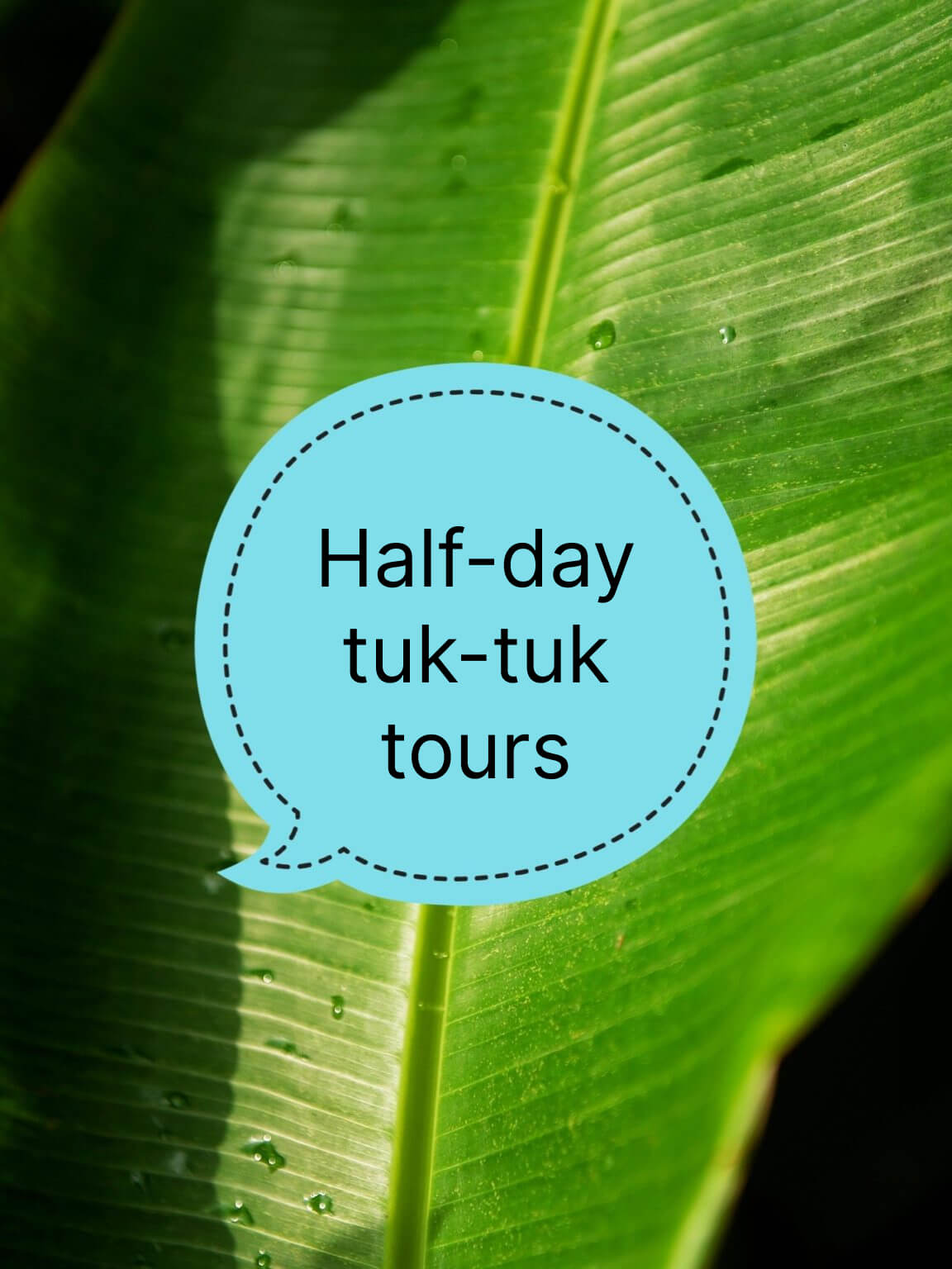 Half-Day: Explore the South by Tuk-Tuk