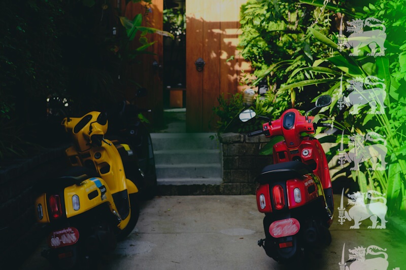 Bike rental