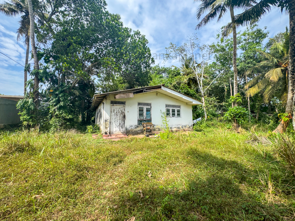 For sale [Page Title] | [Category Title] $[Field 130]