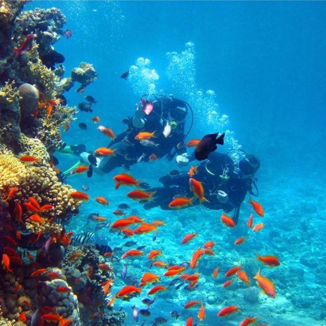 Diving in Sri Lanka